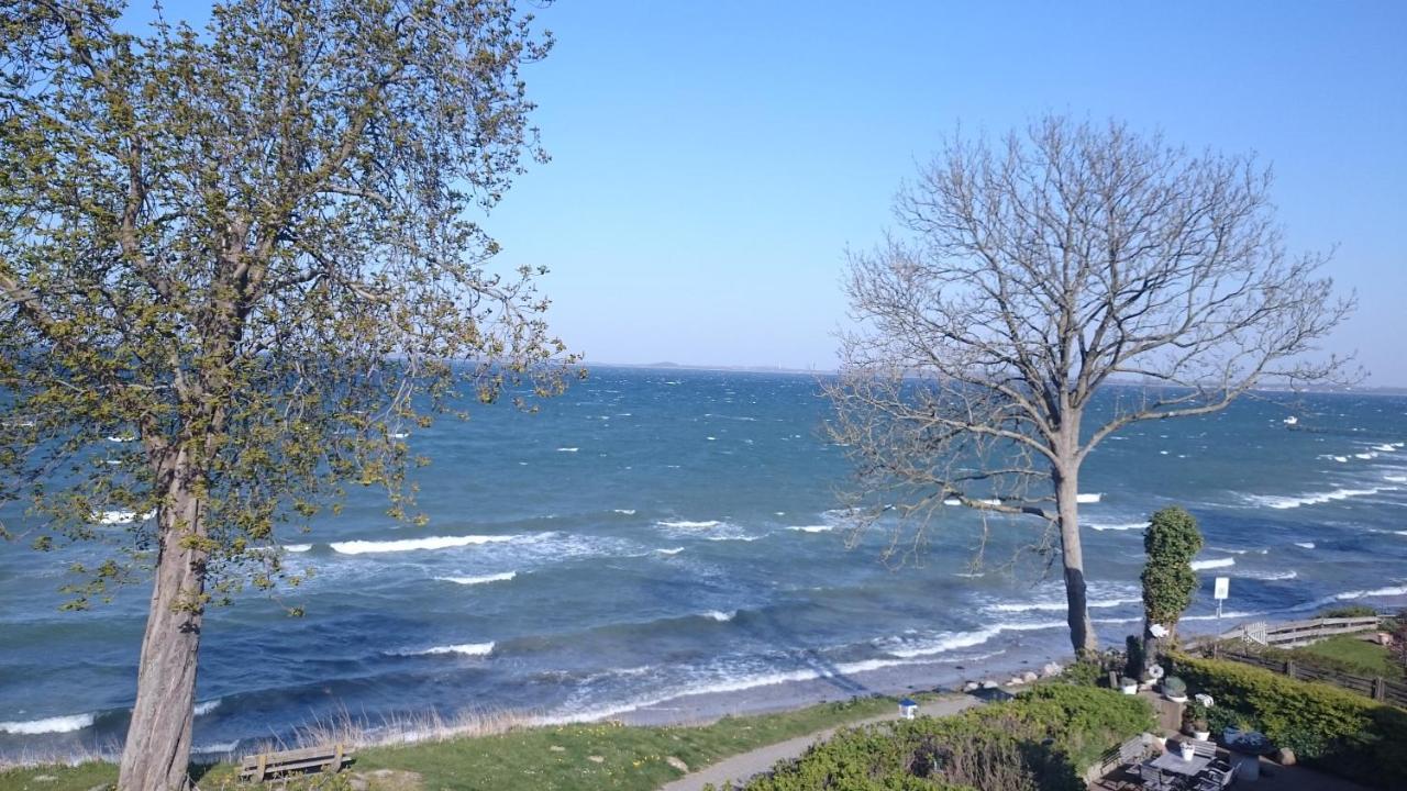 Strandappartement Steinberghaff "Zur Birk" Mit Meerblick ساينبرغ المظهر الخارجي الصورة